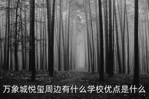 深圳華潤萬象城劃片小學，長沙岳麓區華潤萬象城配套學校什么時候開學