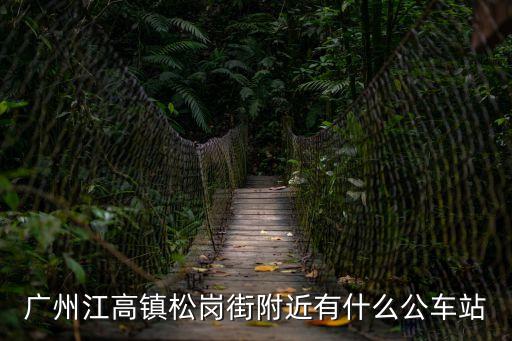 廣州江高鎮那里有站街，廣州市白云區江高鎮菜園一街至廣州東站公交車