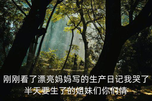 港大深圳醫院生產日記，生產日志怎么寫