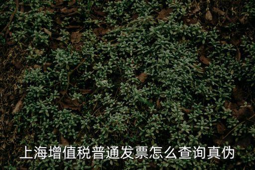 上海市卷票真偽查詢系統，上海發票真偽查詢