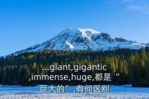 巨大的英語,大英語怎么說?