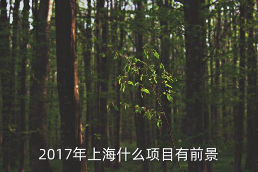 2017 上海市實事項目，2017年上海什么項目有前景