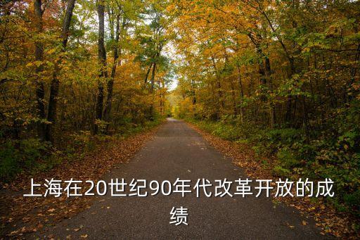 上海在20世紀90年代改革開放的成績
