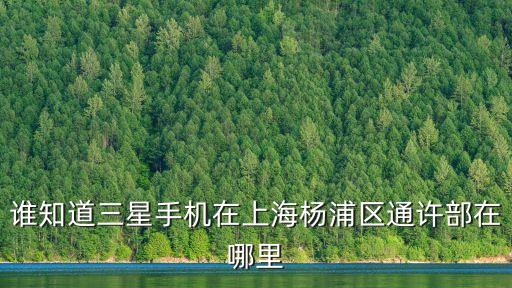 上海市楊浦黃興路221號互聯寶地，誰知道三星手機在上海楊浦區通許部在哪里