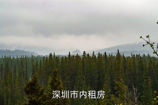 深圳市內(nèi)租房