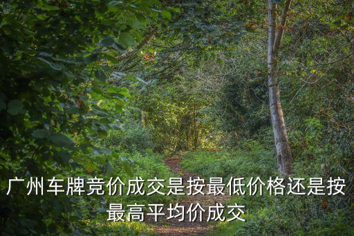 廣州竟拍號如何出價，廣州車牌搖號改競價如何操作