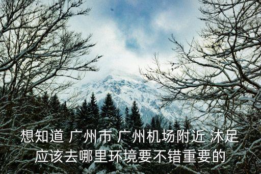想知道 廣州市 廣州機(jī)場附近 沐足應(yīng)該去哪里環(huán)境要不錯重要的