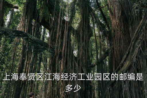 上海市奉賢江海園區(qū)，上海奉賢區(qū)江海經(jīng)濟(jì)工業(yè)園區(qū)的郵編是多少