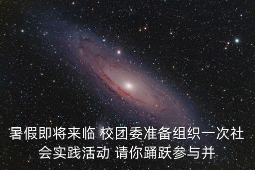 上海市團委暑期實踐，上海大學生 暑期實踐
