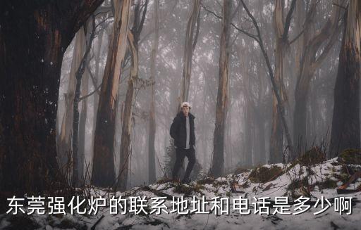 東莞強(qiáng)化爐的聯(lián)系地址和電話是多少啊