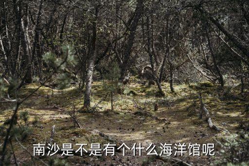 廣州南沙海洋管，南沙是不是有個什么海洋館呢