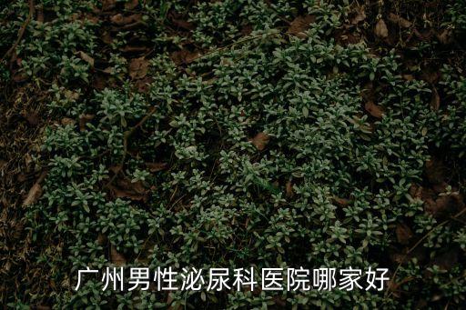 廣州男性泌尿科醫院哪家好