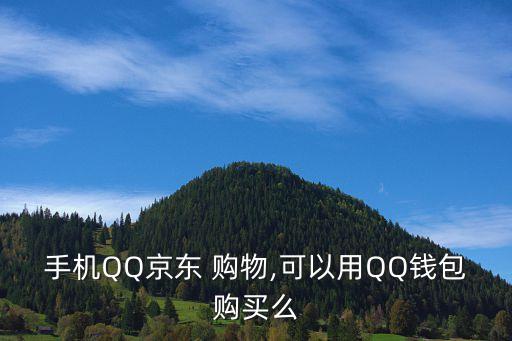 手機QQ京東 購物,可以用QQ錢包購買么