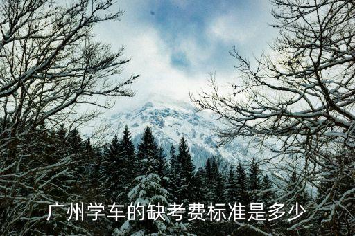 廣州駕考補(bǔ)考費(fèi)用如何，廣州駕校補(bǔ)考費(fèi)用