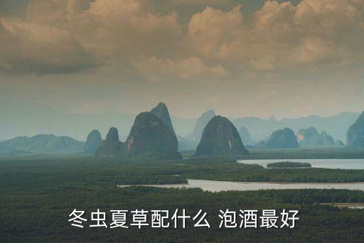  冬蟲夏草配什么 泡酒最好