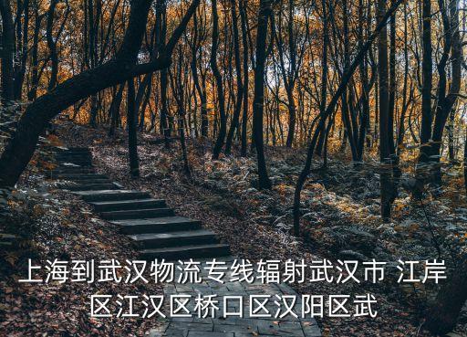 上海市松江武漢物流中心，想知道 上海市松江區(qū)有物流園嗎 在哪