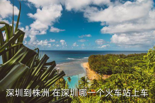 深圳到株洲 在深圳哪一個火車站上車
