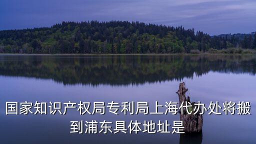 上海市繳納專利費用的地址，上海工商稅務局地址