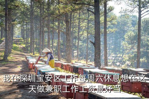 我在深圳寶安區工作每周六休息想在這天做兼職工作工資最好當
