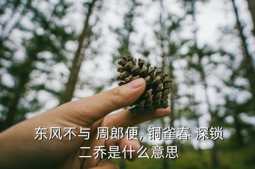 東風(fēng)不與周郎便銅雀春深鎖二喬,銅雀春深鎖二喬