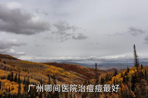 廣州哪間醫院治痘痘最好