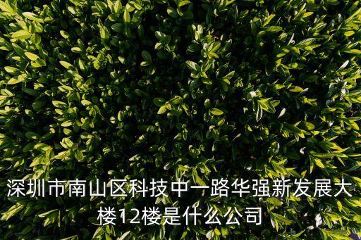 深圳市南山區科技中一路華強新發展大樓12樓是什么公司