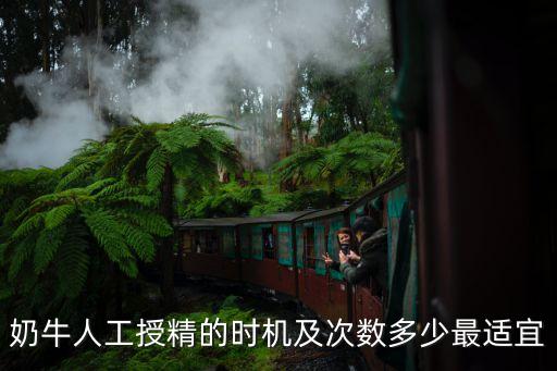 奶牛人工授精的時(shí)機(jī)及次數(shù)多少最適宜