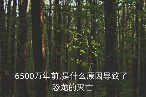 6500萬年前,是什么原因導致了 恐龍的滅亡