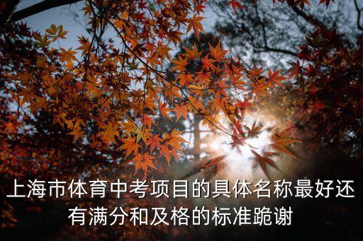上海市體育中考全名，關于上海中考體育