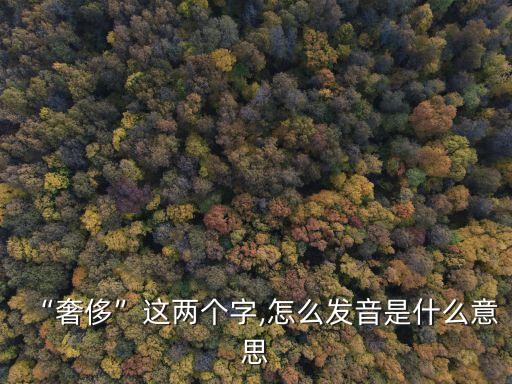 “奢侈”這兩個字,怎么發(fā)音是什么意思