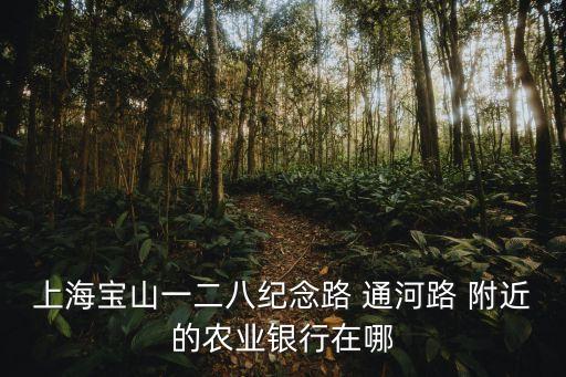 上海寶山一二八紀(jì)念路 通河路 附近的農(nóng)業(yè)銀行在哪