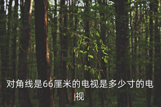 對角線是66厘米的電視是多少寸的電視