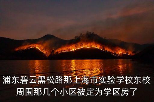 浦東碧云黑松路那上海市實驗學校東校周圍那幾個小區(qū)被定為學區(qū)房了