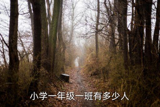小學(xué)一年級一班有多少人