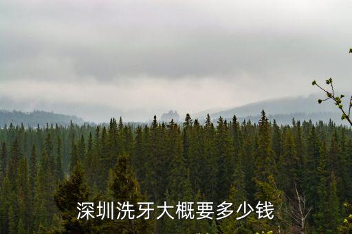 深圳洗牙大概要多少錢
