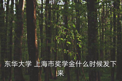 東華大學 上海市獎學金什么時候發下來