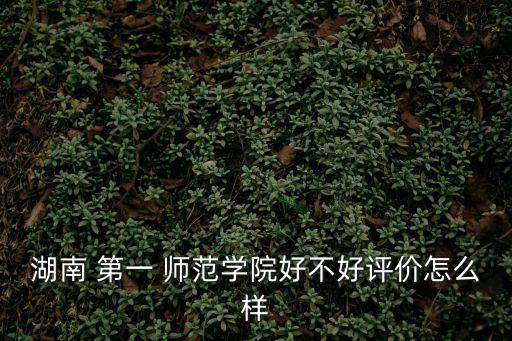 湖南 第一 師范學(xué)院好不好評價怎么樣