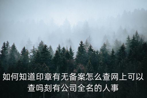 如何知道印章有無備案怎么查網上可以查嗎刻有公司全名的人事