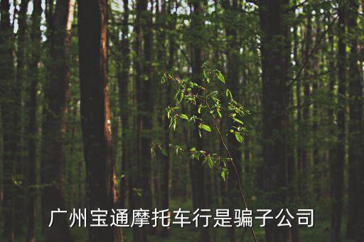 廣州聯(lián)寶通公司是騙局，廣州寶通擔(dān)保有限公司是不是騙子