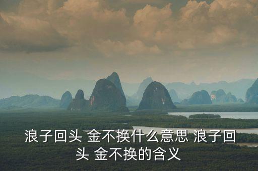  浪子回頭 金不換什么意思 浪子回頭 金不換的含義