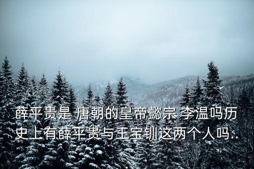 薛平貴是 唐朝的皇帝懿宗 李溫嗎歷史上有薛平貴與王寶釧這兩個人嗎...