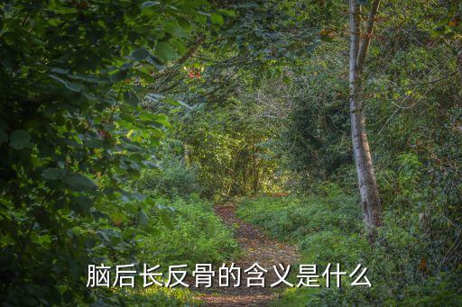 腦后長反骨的含義是什么