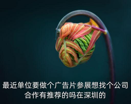 最近單位要做個廣告片參展想找個公司合作有推薦的嗎在深圳的