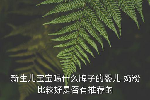  新生兒寶寶喝什么牌子的嬰兒 奶粉比較好是否有推薦的