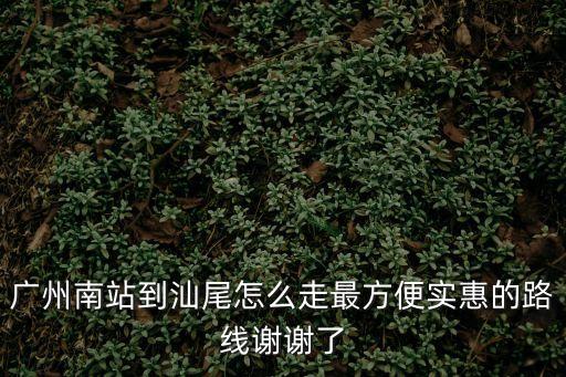 廣州南站到汕尾怎么走最方便實惠的路線謝謝了