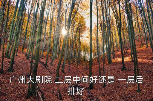 廣州大劇院 二層中間好還是 一層后排好