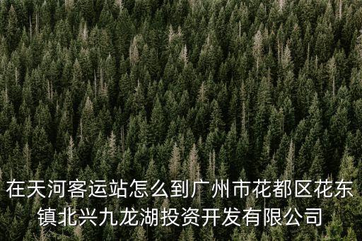 在天河客運站怎么到廣州市花都區花東鎮北興九龍湖投資開發有限公司