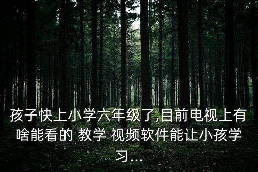 孩子快上小學六年級了,目前電視上有啥能看的 教學 視頻軟件能讓小孩學習...
