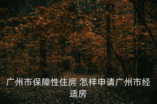 廣州保障房2017，關于廣州市經濟適用房