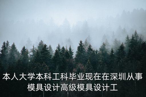 本人大學本科工科畢業現在在深圳從事模具設計高級模具設計工